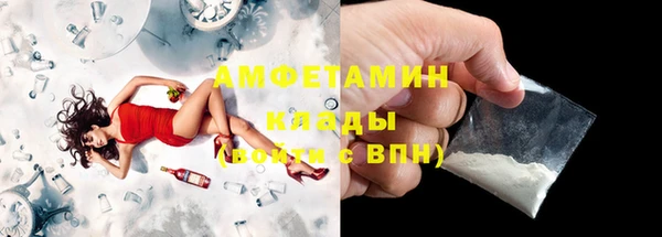 индика Верхний Тагил