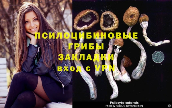 прущий лед Верея