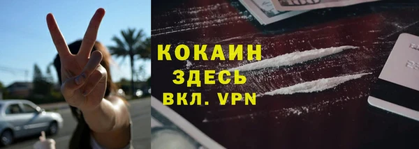 индика Верхний Тагил