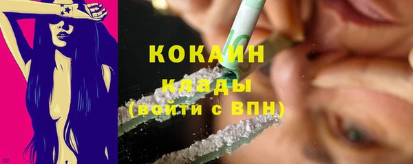 индика Верхний Тагил