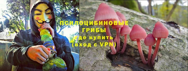 прущий лед Верея