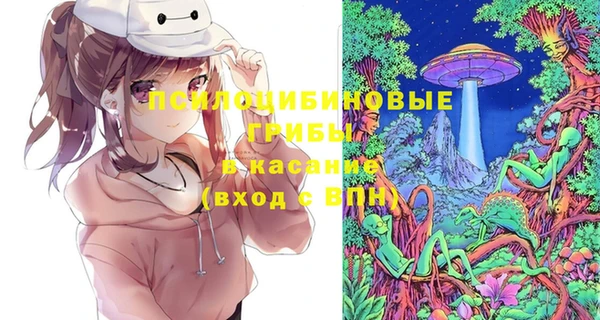 индика Верхний Тагил